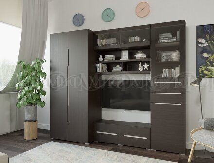 Тумба ТВ с дверью и ящиками ТБ-005 Эколь 